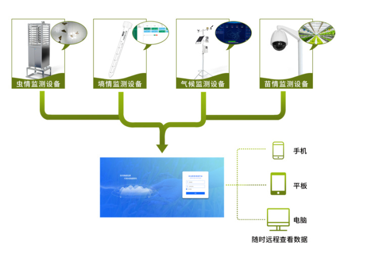 智能农业在线监测系统